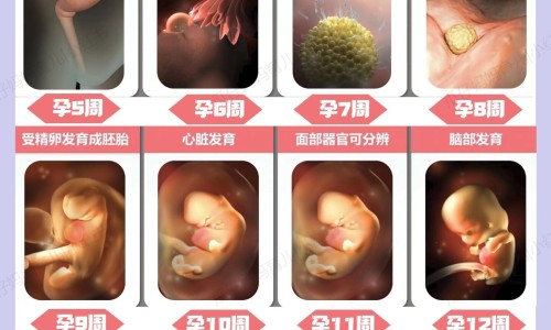 化疗病人能吃香菇吗网 - 网站提供化疗病人能吃鸽子吗小常识、化疗病人能吃红薯吗