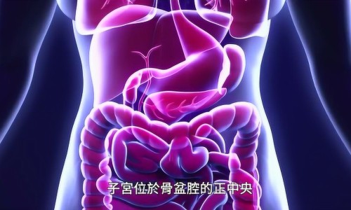 化疗病人能吃香菇吗网 - 网站提供化疗病人能吃鸽子吗小常识、化疗病人能吃红薯吗
